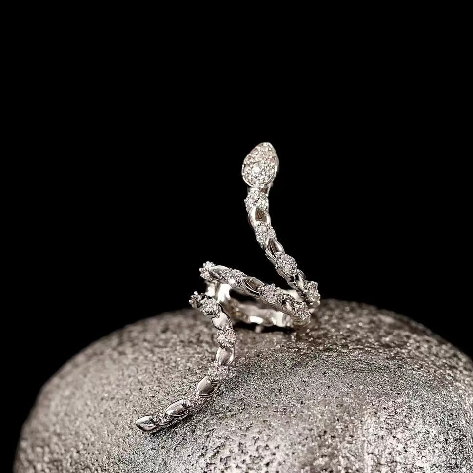 Snake zirconia earrings