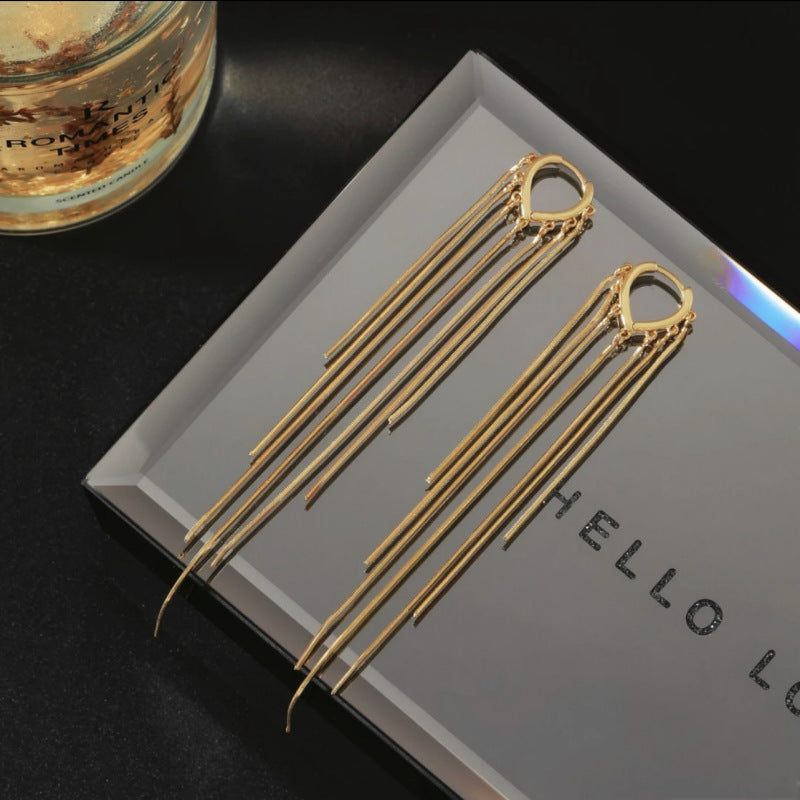 Long tassel earrings