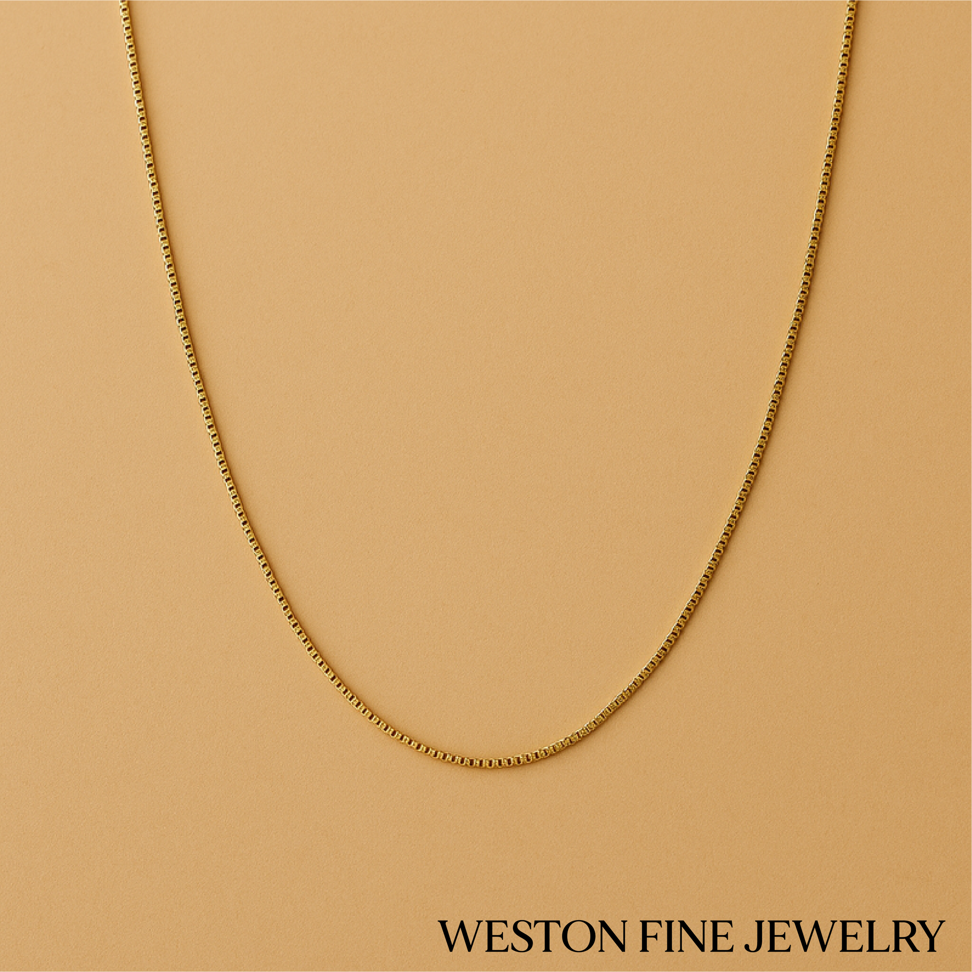 Bold Bodega Box Chain Necklace in 18k Gold