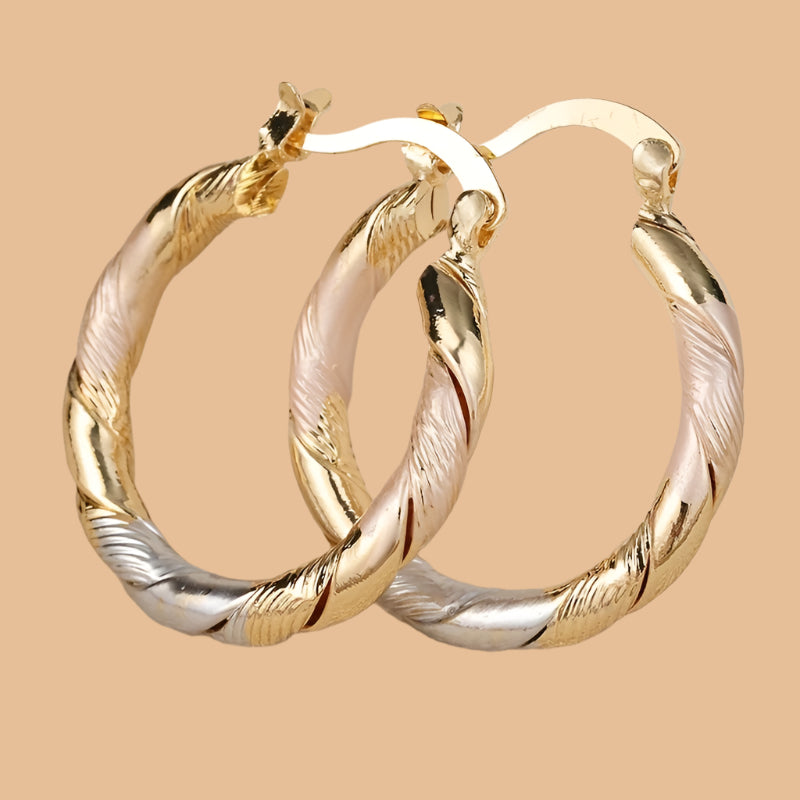 Classic Two-tone Round Hoop Earrings for Women