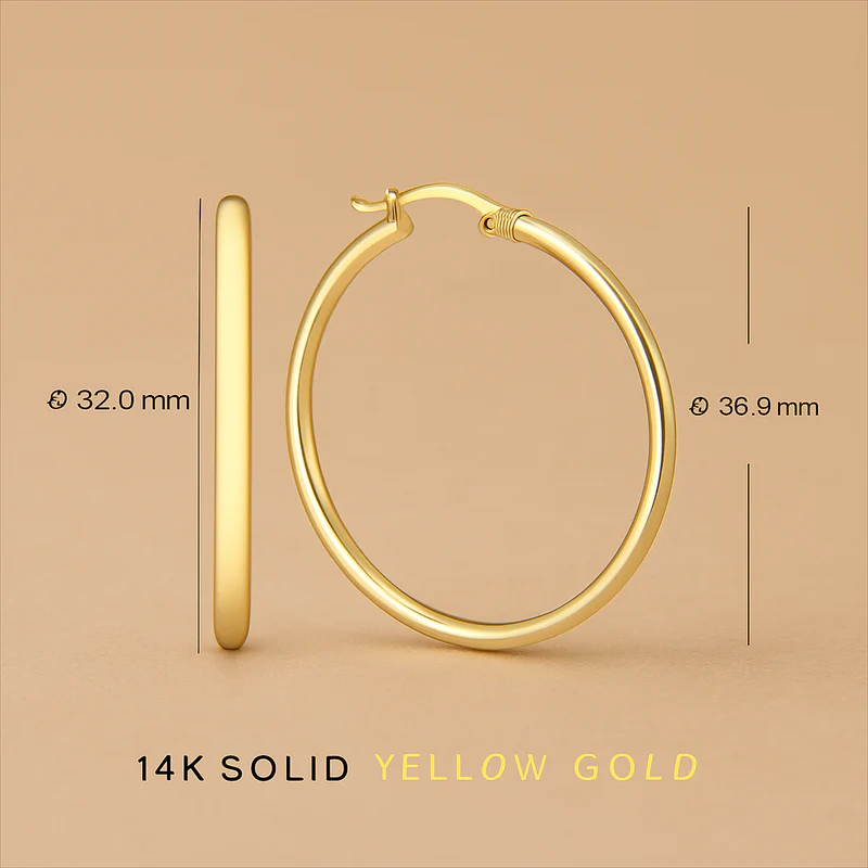 Noa Serane Earrings in 14K Gold Sophistication